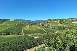 Agriturismo Vecchio Torchio