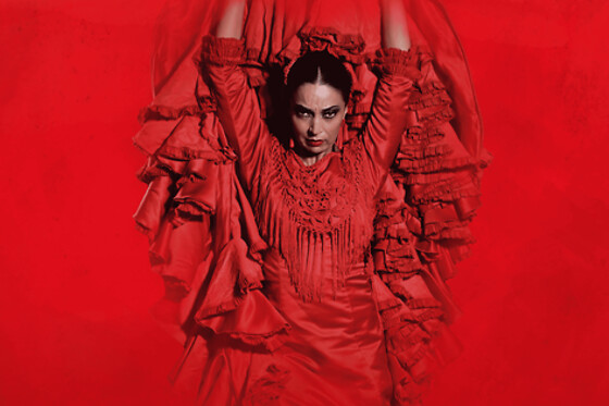 TEATRO FLAMENCO GRANADA - photo 0