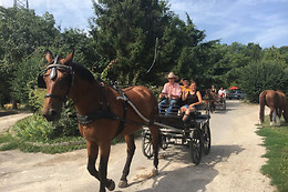 Ecurie Denogent  Club du Lys