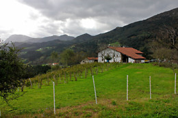 AGROTURISMO ERLETE GOIKOA