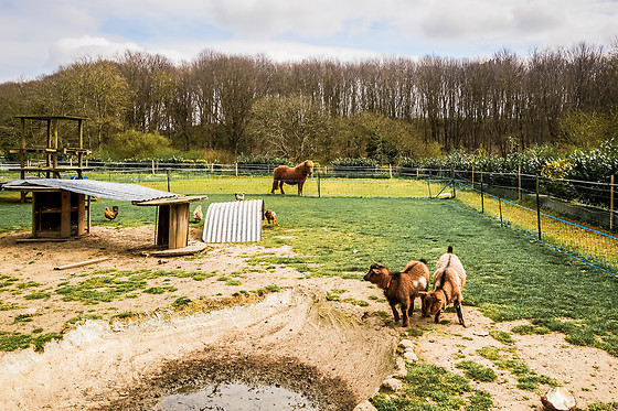 Camping les capucines - photo 4