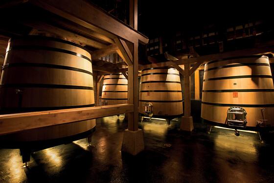 BODEGA FINCA VILLACRECES & BODEGA IZADI - photo 15