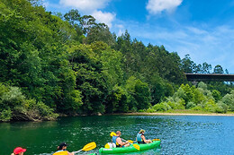 ZENIT EXPERIENCIAS