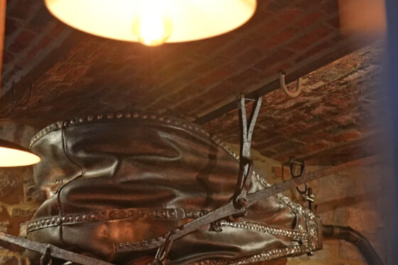 La Forge - maison d'hôtes - photo 6