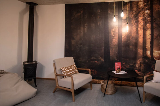 Hôtel & Restaurant Le Cochon Rose - photo 3