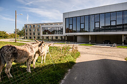 Afterwork Hotel