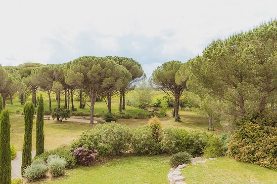 Domaine Château Mouresse - photo 12