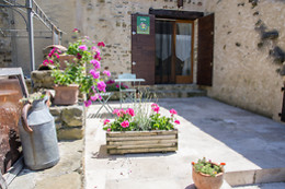 Les Roses Tremières