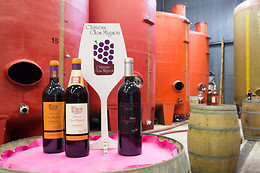 Château Clos Mignon