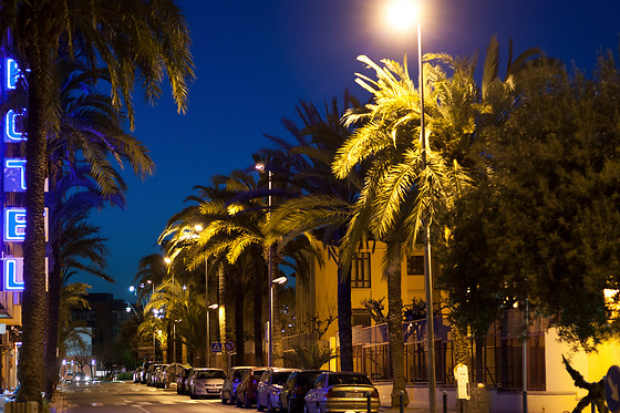 HOTEL EL PINCHE DE ORO - photo 3