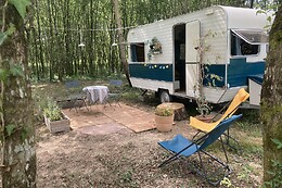 L'intemporelle