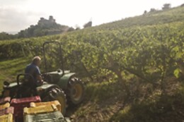 Agriturismo La Madonnina