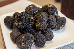 Truffes Folies