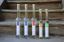 Weinbau Haselrain