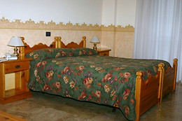 Hotel Centrale