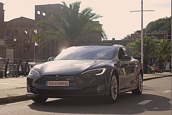 Tesla Rental - photo 4