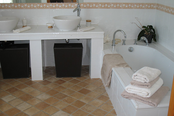 Bastide des Eucalyptus - photo 3