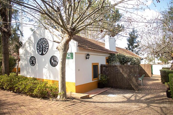 Quinta da Mimosa - photo 10