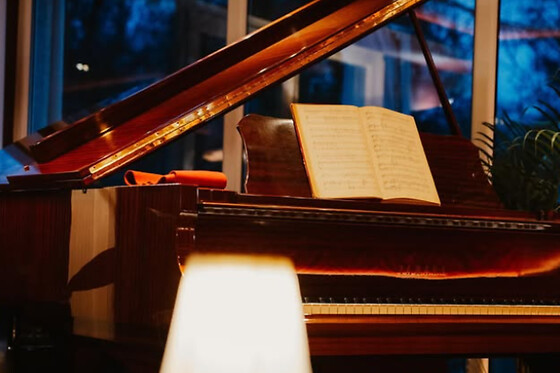 Piano Restaurant - photo 1