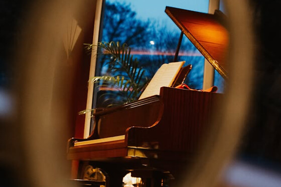 Piano Restaurant - photo 10