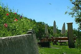 L'Asphodèle