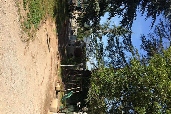 Le parc aux cèdres - photo 1