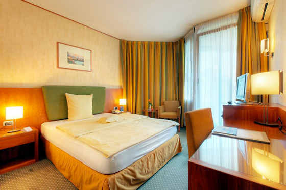 Hotel Delfino Lugano*** - photo 8