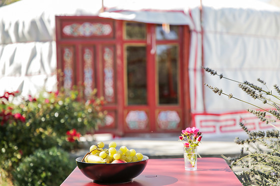 Home Paradis & spa - photo 6