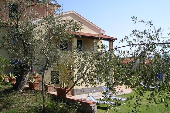Cantina Il Monticello - photo 5