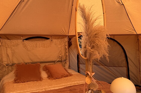 De Witte Merel & Hotel at home - photo 24