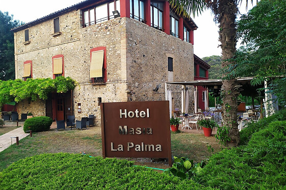 HOTEL MASIA PALMA - photo 3
