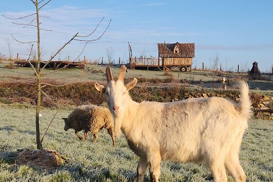 Domaine de Tallat - photo 20