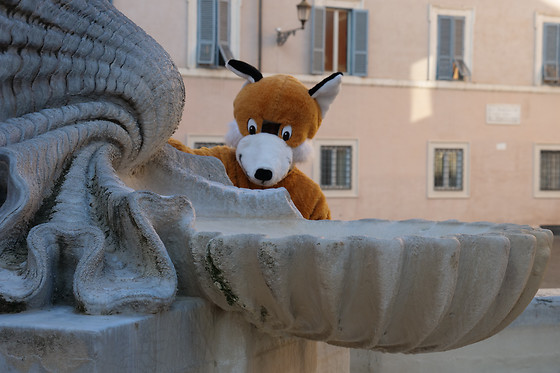 Foxtrail Italia - photo 1
