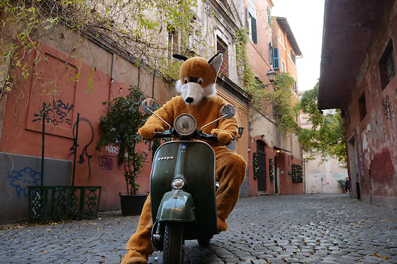 Foxtrail Italia - photo 0