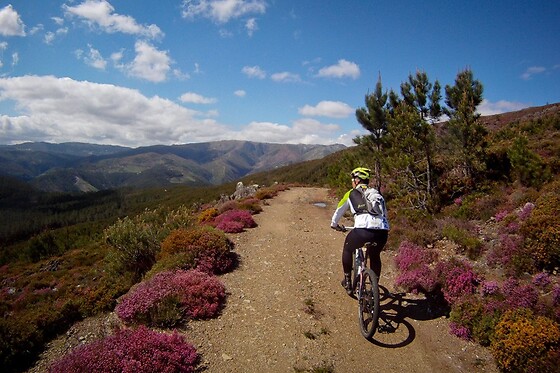 NaTour Way - photo 54