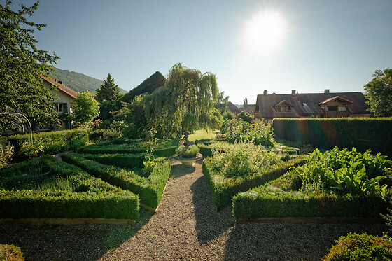 Landhotel Hirschen - photo 13