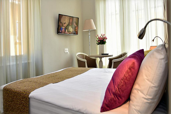 Hotel Alexandra Locarno*** - photo 8