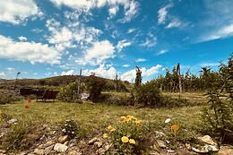 Azienda Agricola dell'Erba