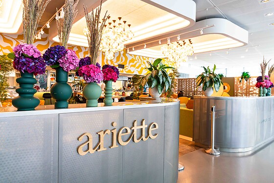 Ariette - photo 3