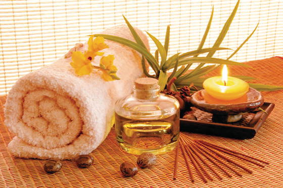 Centro Fitness Il Delfino - photo 2