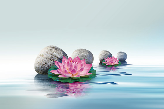 Silva Massagen Therapie Beauty - photo 6