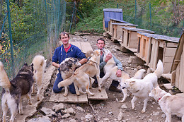 Elevage canin du clos de la vallée blanche