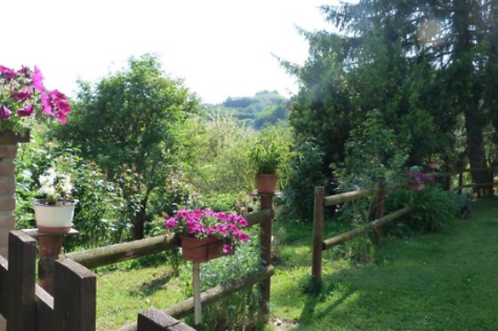La Locanda della sesta felicità - photo 3