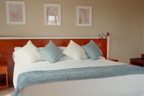 HOTEL SEGOVIA SIERRA DE GUADARRAMA - photo 5