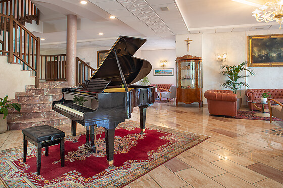 Ancora Sport Hotel - photo 11