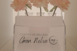 CENTRO DE BELLEZA GRAN NELVA