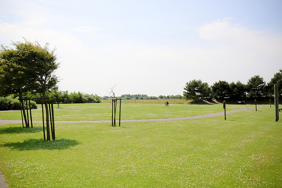 Corsendonk Duinse Polders - photo 10