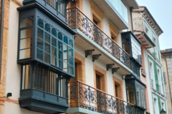 ZALLE OVIEDO SUITES - photo 13