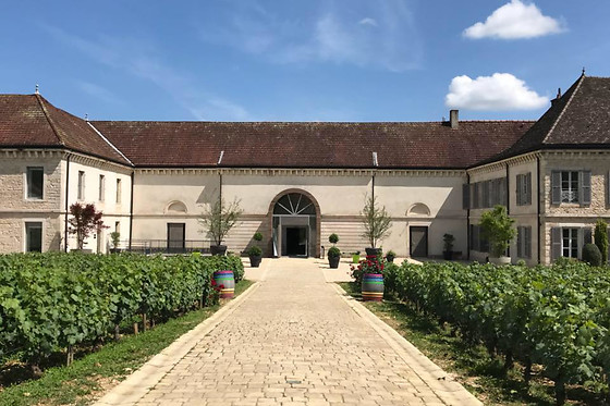 Vignobles et Vins Picard - photo 2