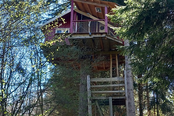 Les cabanes des Combrailles - photo 1